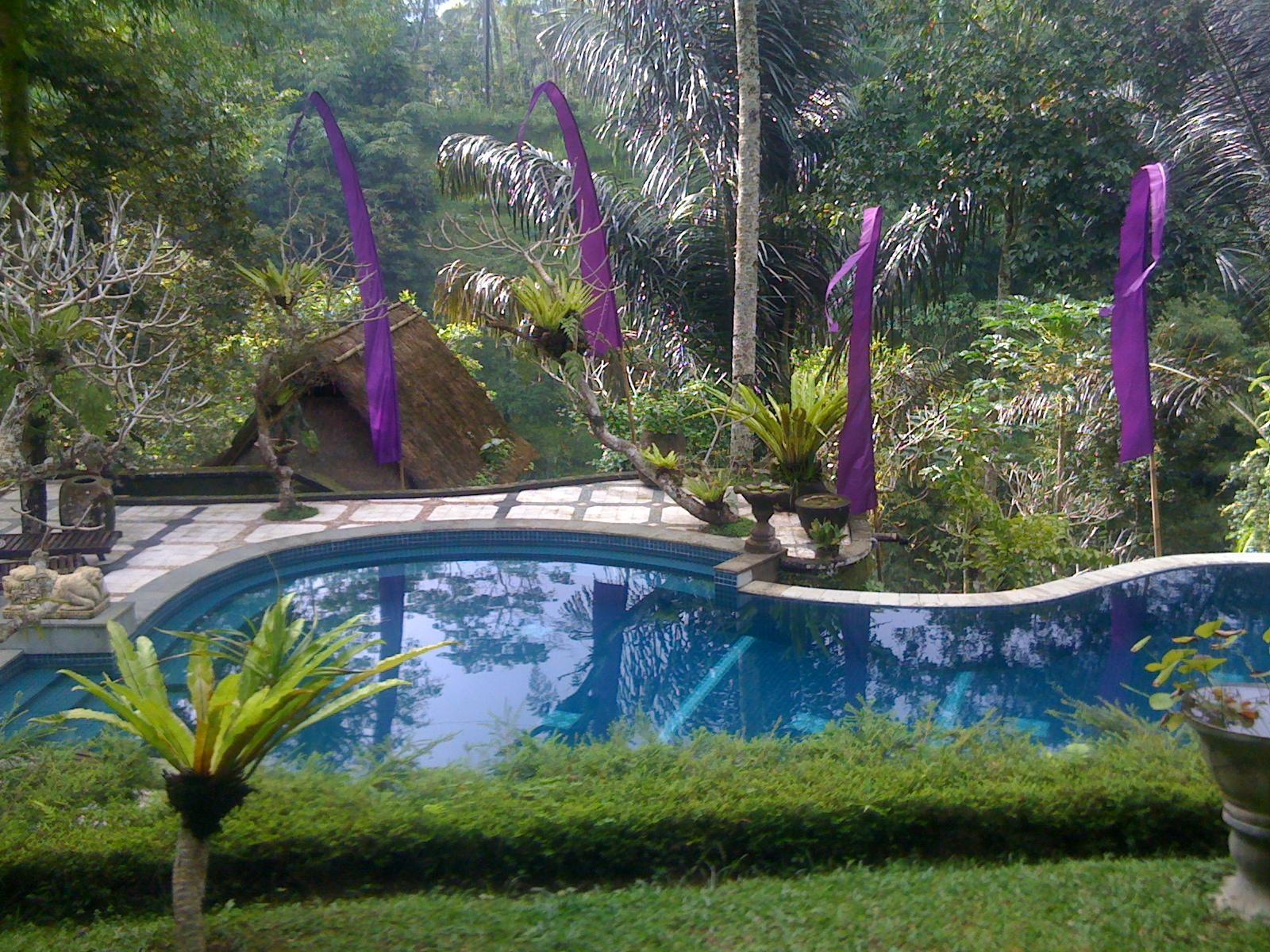 Abisha Mystique Villa Ubud Esterno foto